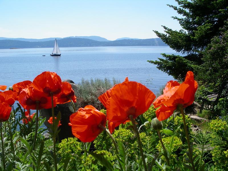 Serenity By The Sea Retreats Montague Harbour Esterno foto